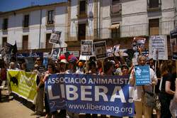 Coria 2009