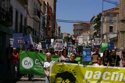 Coria 2009